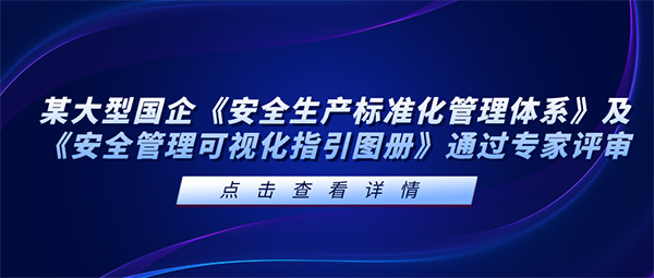 安全信息化,安全信息化系統(tǒng)